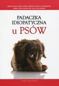 Picture of Padaczka idiopatyczna u psów