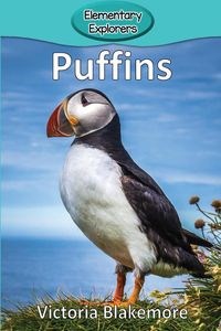 Obrazek Puffins