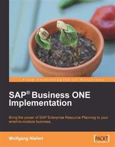 Obrazek SAP Business ONE Implementation