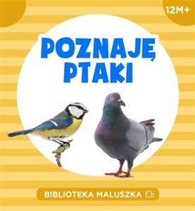 Obrazek Poznaję ptaki Biblioteka maluszka