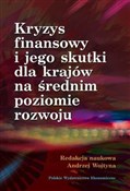 Polska książka : Kryzys fin... - Andrzej Wojtyna