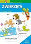Zwierzęta.... - Irene Merlini, Valentina Bolco -  books in polish 