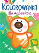 Książka : Kolorowank... - Ilona Brydak (ilustr.)