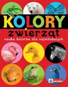 Picture of Kolory zwierząt Nauka kolorów dla najmłodszych