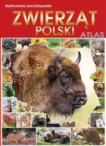 Obrazek Ilustrowana encyklopedia zwierząt Polski. Atla