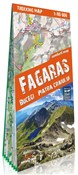 Fagaras, B... -  books in polish 