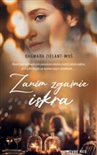 Zanim zgaś... - Dagmara Zielant-Woś -  Polish Bookstore 