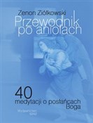 Przewodnik... - Zenon Ziółkowski -  Polish Bookstore 