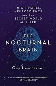 Obrazek Nocturnal Brain