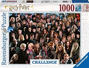 Picture of Puzzle 2D 1000 Challenge Harry Potter 14988