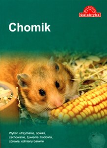Picture of Chomik
