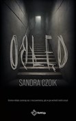 Polska książka : Obłęd - Sandra Czoik