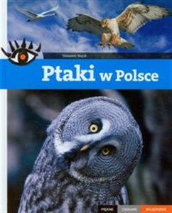 Picture of Ptaki w Polsce Piękne ciekawe wyjątkowe