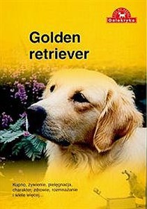 Picture of Golden retriever