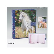 Książka : PAMIĘTNIK ...