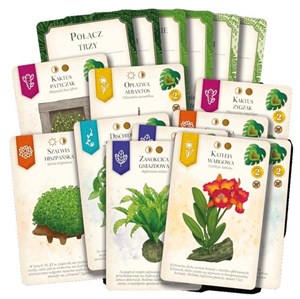 Picture of Doniczki - karty promocyjne