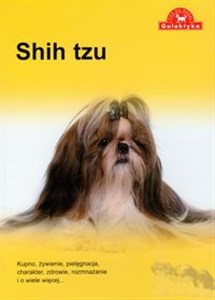 Obrazek Shih Tzu