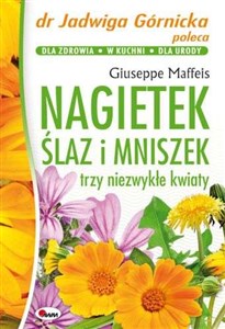 Obrazek Nagietek ślaz i mniszek trzy niezwykłe kwiaty