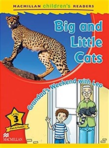 Obrazek Children's: Big and Little Cats 3 Grandad's...