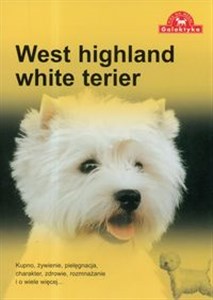 Obrazek West highland white terier