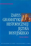 Zarys gram... - Irena Galster -  books from Poland