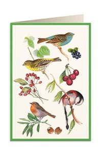 Obrazek Karnet B6 + koperta 5928 Ptaszki