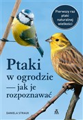 polish book : Ptaki w og... - Daniela Strauß