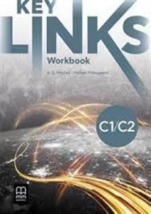 Picture of Key Links C1/C2 WB