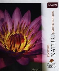 Picture of Puzzle Lilia wodna 1000