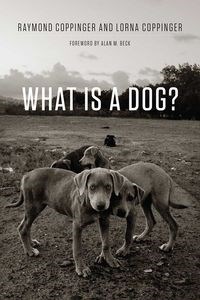 Picture of What Is a Dog?