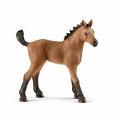 Lejdis & D... - Ksiegarnia w UK