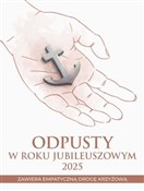 Polska książka : Odpusty w ... - Wacław Borek, Maria Druch CSA, Iwona Jagiełka CSA