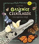 Polska książka : Gąsienice ... - Krzysztof Pabis