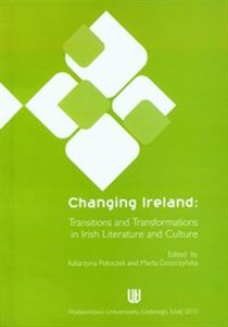 Obrazek Changing Ireland Transitions and transformations in irish literature and culture