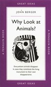 Why Look a... - John Berger -  Książka z wysyłką do UK