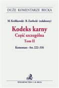 Polska książka : Kodeks kar... - Magdalena Błaszczyk, Jerzy Lachowski, Aneta Michalska-Warias