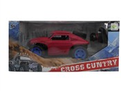 Polska książka : Auto na ra...