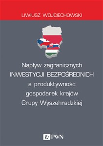 Picture of Napływ zagranicznych inwestycji bezpośrednich a produktywność gospodarek krajów Grupy Wyszehradzkiej