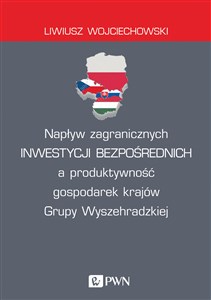 Obrazek Napływ zagranicznych inwestycji bezpośrednich a produktywność gospodarek krajów Grupy Wyszehradzkiej