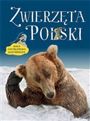 Zwierzęta ... - Andrzej Kruszewicz -  foreign books in polish 