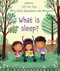 Picture of Lift-the-flap Very First Questions and Answers What is sleep?