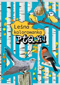 Picture of Ptaki Leśna kolorowanka