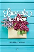 polish book : Ławeczka p... - Agnieszka Olejnik