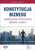 polish book : Konstytucj... - Magdalena Ługiewicz