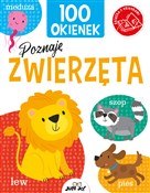 Polska książka : 100 okiene... - Kit Elliot