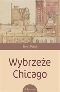 Obrazek Wybrzeże Chicago