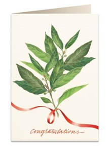 Picture of Karnet B6 + koperta 5963 Gratulacje Liście