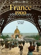 Polska książka : France 190... - Marc Walter