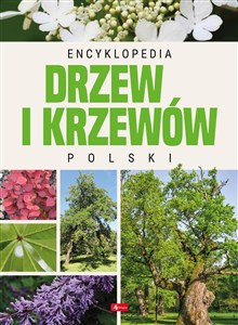 Obrazek Encyklopedia drzew i krzewów Polski