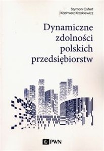 Obrazek Dynamiczne zdolności polskich przedsiębiorstw